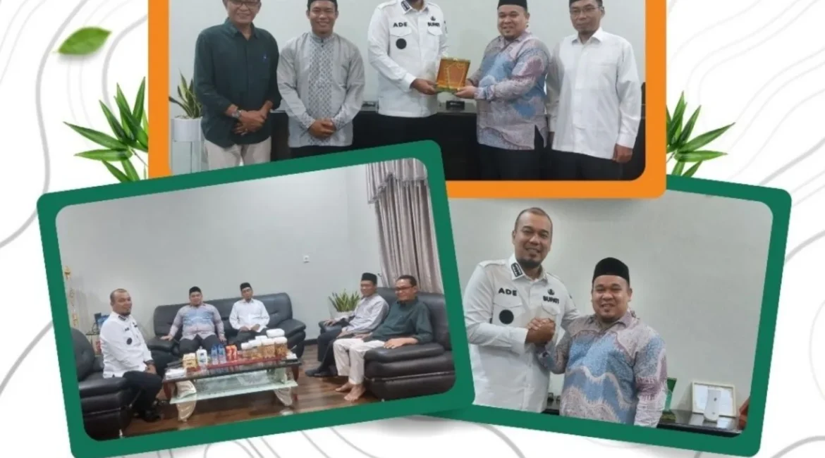 Bupati Inhu